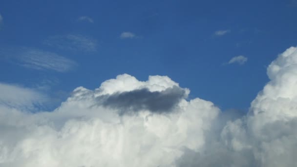 Schwebende weiße Wolken gegen den blauen Himmel — Stockvideo
