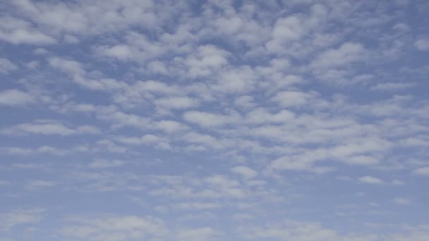 Awan Putih Terapung Melawan Langit Biru — Stok Video