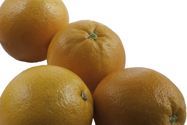 Oranges on white background — Stock Photo, Image