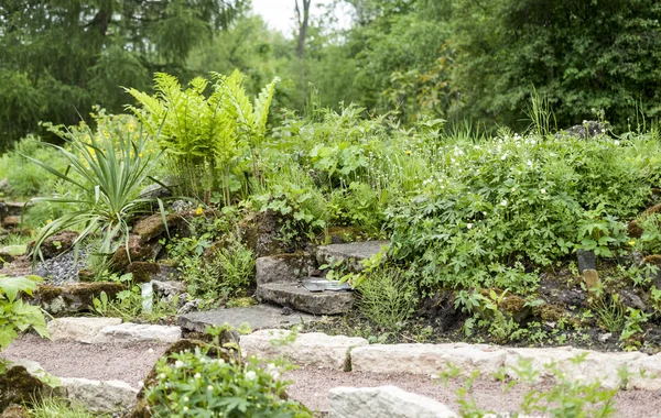 小型高山花园 — 图库照片