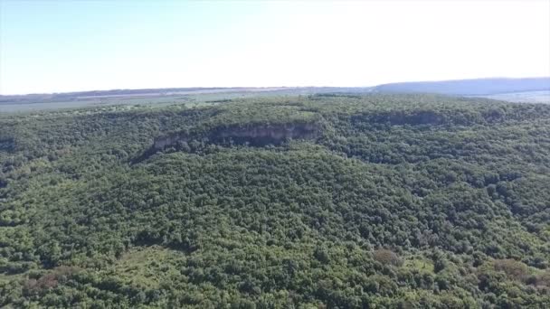 Veld en bos. Aerial Shots — Stockvideo