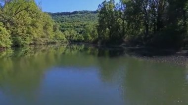 Ormanın üzerinde uçan hava çekim