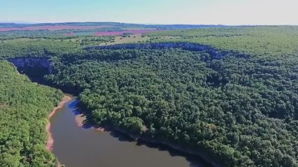 Aerial shots van het vliegen over het bos en rivier — Stockvideo