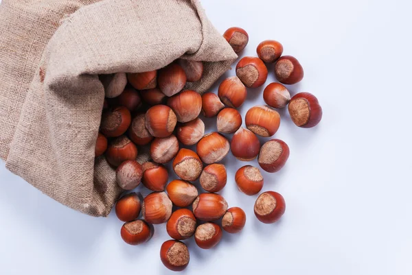 Unshelled hazelnuts in a bag on a white background. Not isolated image — Stock Photo, Image