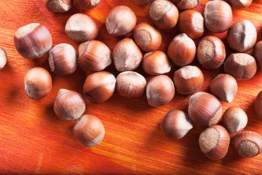 fındık kabuğu ahşap arka plan üzerinde