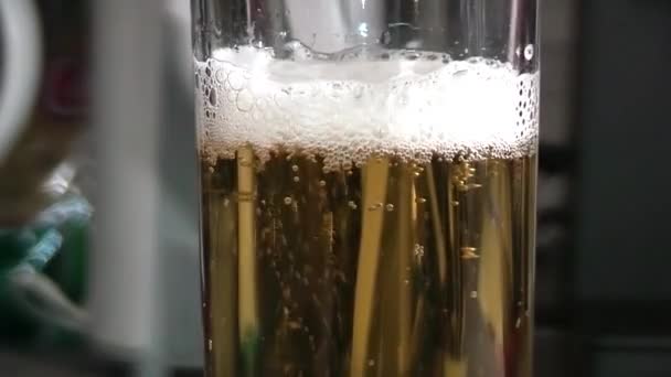 Wlewanie lekkiego piwa do szkła. — Wideo stockowe