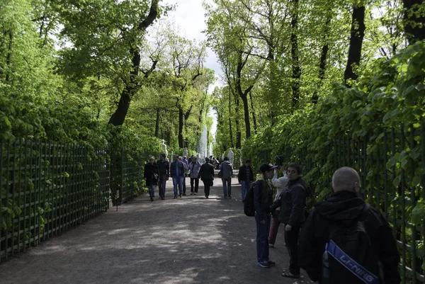 Zomertuin in Sankt-Petersburg — Stockfoto