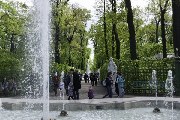 Jardin d'été à Sankt-Petersburg — Photo