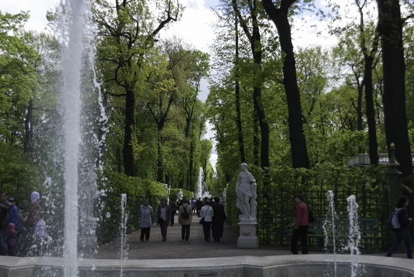 Jardin d'été à Sankt-Petersburg — Photo