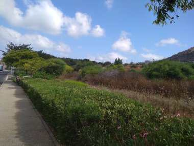 Hayfa, 3 numaralı dağın altında bir şehir.