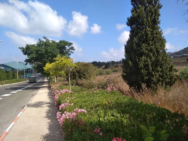 Haïfa Est Une Ville Quelque Part Sous Montagne — Photo