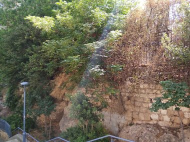 Dağdaki Hayfa şehri