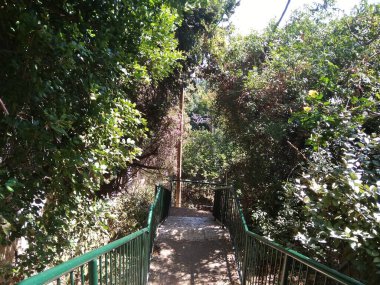 Dağdaki Hayfa şehri