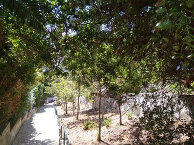 Dağdaki Hayfa şehri