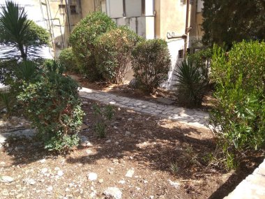 Dağdaki Hayfa şehri