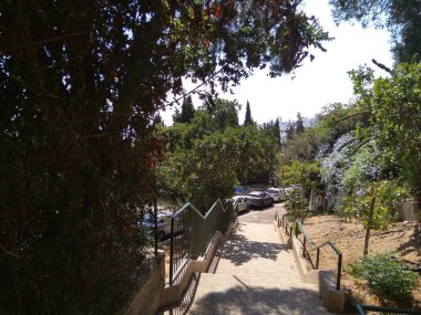 Dağdaki Hayfa şehri