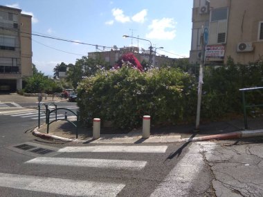 Dağdaki Hayfa şehri