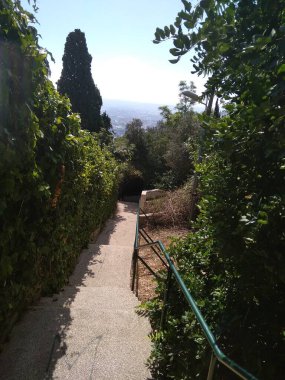 Dağdaki Hayfa şehri