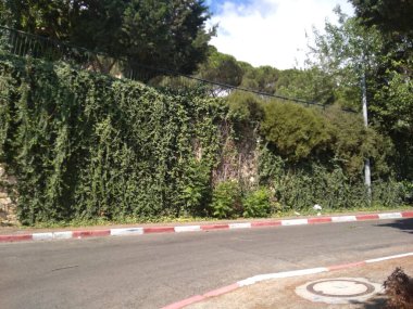 Dağdaki Hayfa şehri