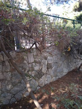 Dağda ve dağın altında harika bir şehir