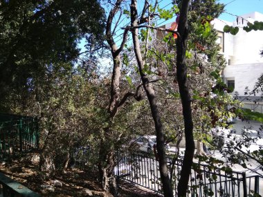 Dağda ve dağın altında harika bir şehir