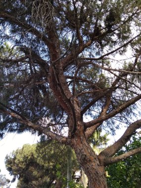 Dağda ve dağın altında harika bir şehir