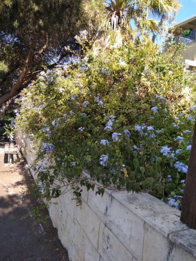 Dağda ve dağın altında harika bir şehir