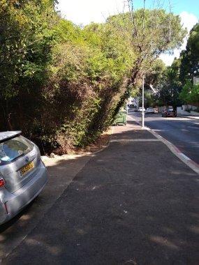 Dağda ve dağın altında harika bir şehir