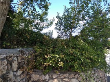 Dağda ve dağın altında harika bir şehir