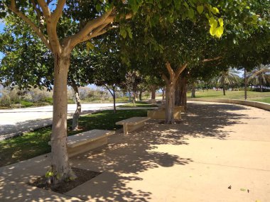 Dağda ve dağın altında büyük bir şehir