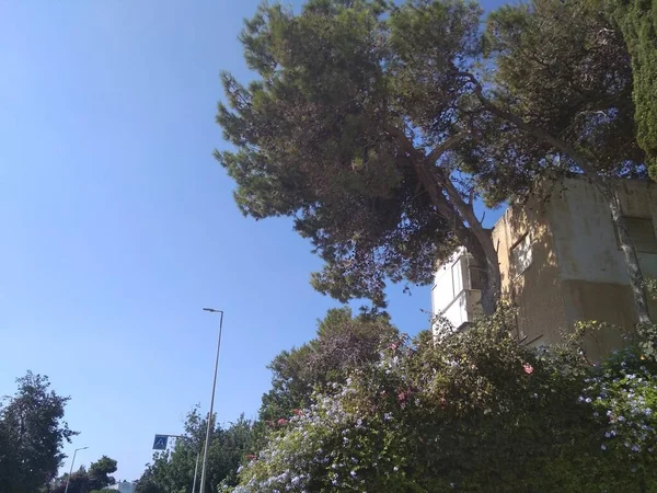 Grote Stad Berg Onder Berg — Stockfoto