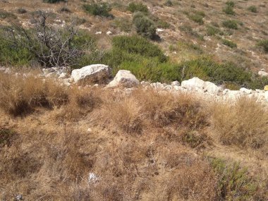 Dağda ve dağın altında büyük bir şehir