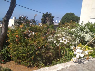 Dağda ve dağın altında büyük bir şehir