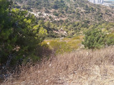 Dağda ve dağın altında büyük bir şehir