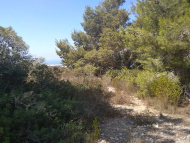 Dağda ve dağın altında büyük bir şehir