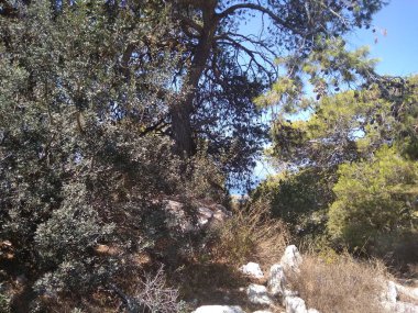 Dağda ve dağın altında büyük bir şehir