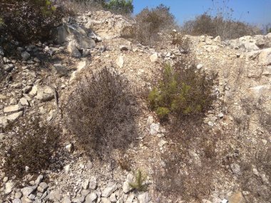 Dağda ve dağın altında büyük bir şehir