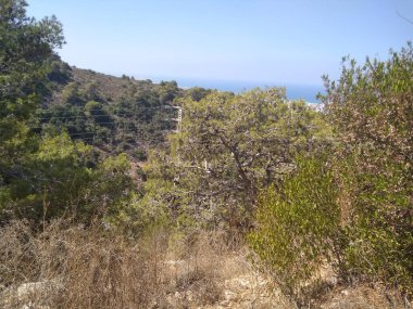 Dağda ve dağın altında büyük bir şehir