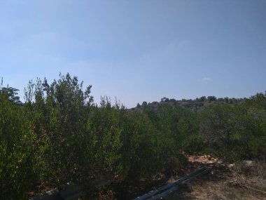 Dağda ve dağın altında büyük bir şehir