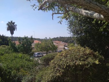 Dağda ve dağın altında büyük bir şehir