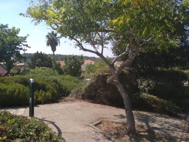 Dağda ve dağın altında büyük bir şehir