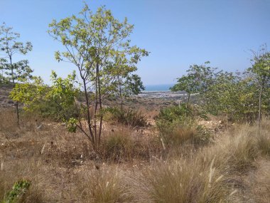 Dağda ve dağın altında büyük bir şehir