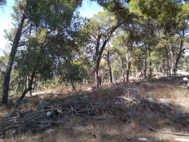 Afula Dağı Givat Hamore