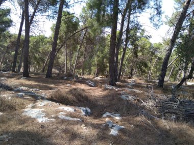 Afula Dağı Givat Hamore