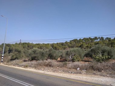 Afula Dağı Givat Hamore