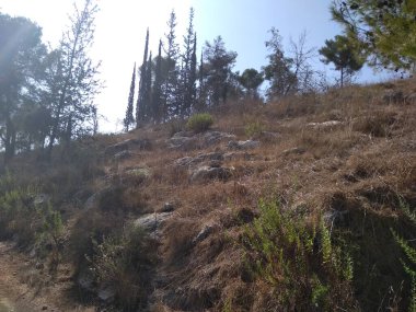 Afula Dağı Givat Hamore