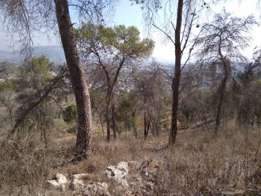 Afula Dağı Givat Hamore