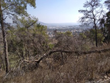 Afula Dağı Givat Hamore