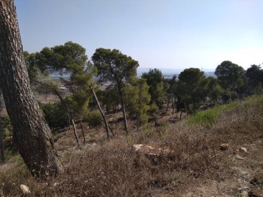 Afula Dağı Givat Hamore