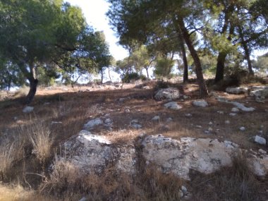 Afula Dağı Givat Hamore